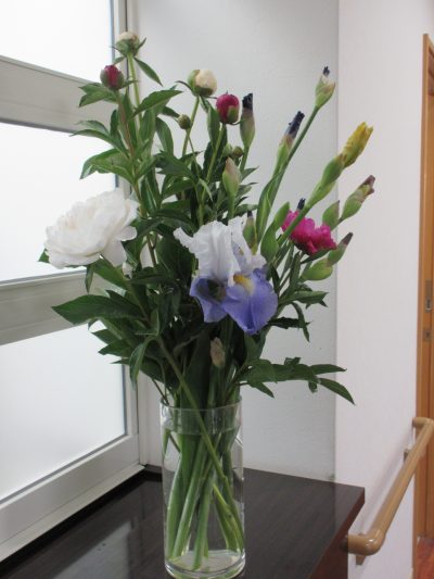華やかなお花が届きました🌸