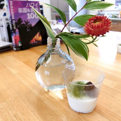 新茶の時期ですね～🍵