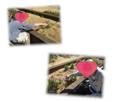 本日のレク🌻