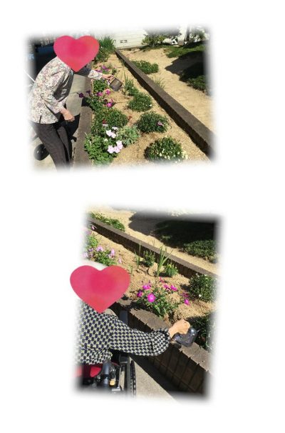 本日のレク🌻